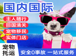 烟台蓬莱航空快递国际宠物托运 【国